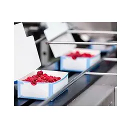 FOOD PACKAGING
