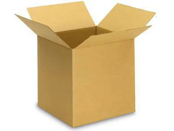 Custom print mailing corrugated outer carton box