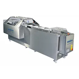 Continuous Two Flap Sealer