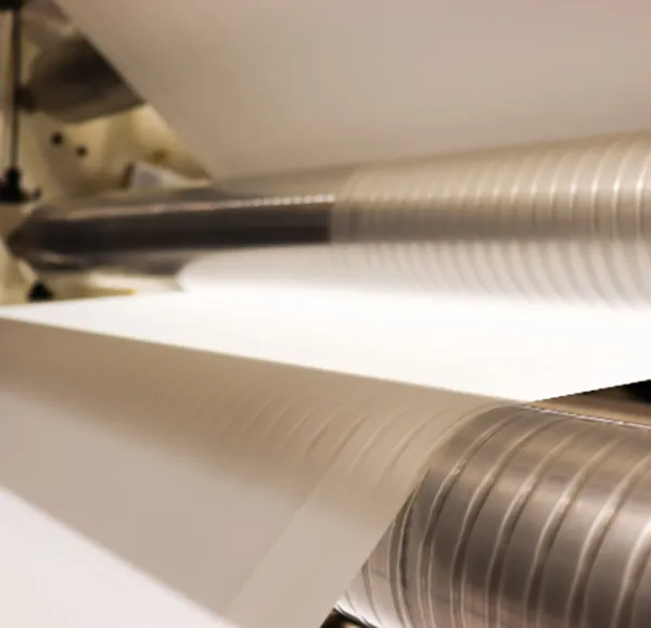Polyester Films