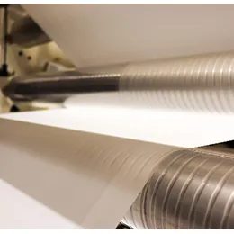 Polyester Films
