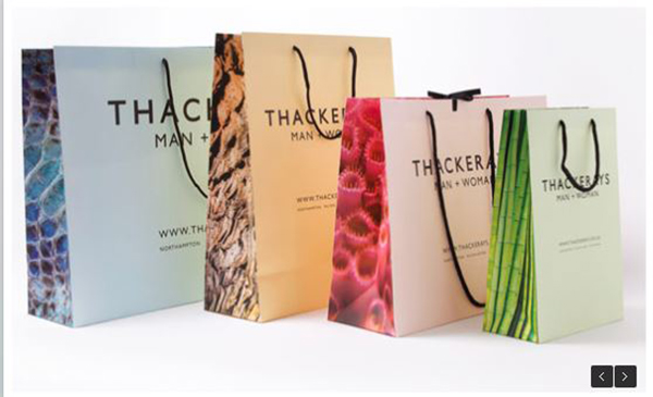 Luxury Art Paper Bags