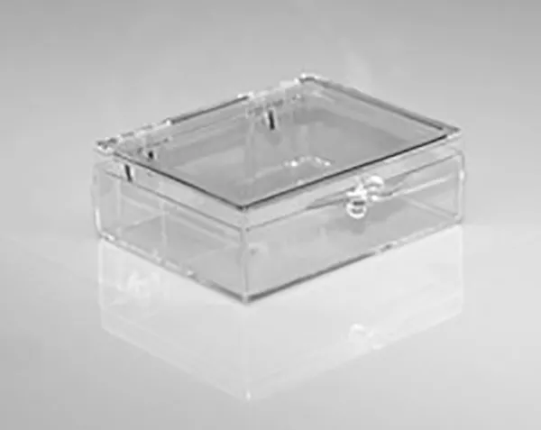 Hinged Lid Clear Plastic Box 