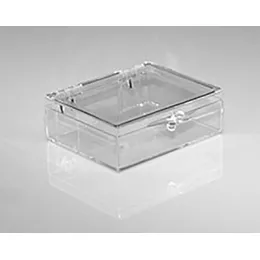 Hinged Lid Clear Plastic Box 