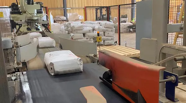 BAG CONVEYORS
