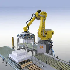 Depalletizing Robotic cell