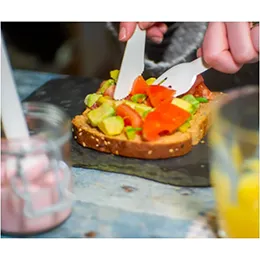 Paper Cutlery and Stirrers