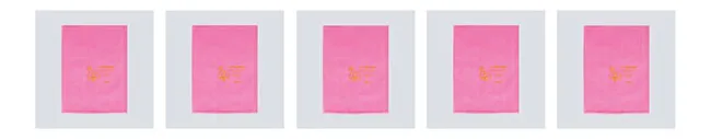Polythene bags