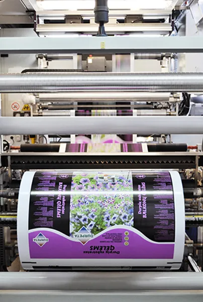 Film with printing
