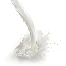 Multilayer dairy packaging film PACKLUX®