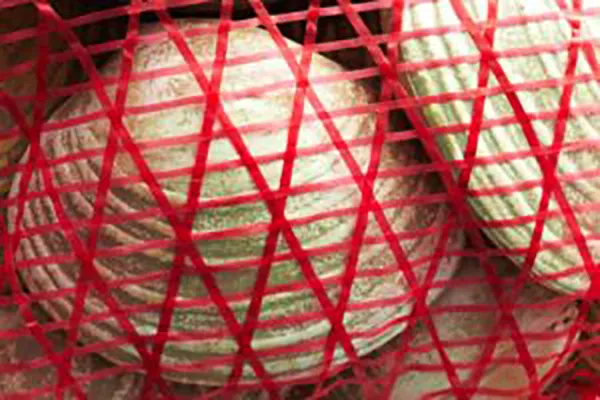 MESH BAGS