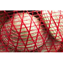 MESH BAGS