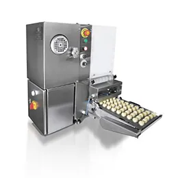 Automatic forming machine for fruit pastes