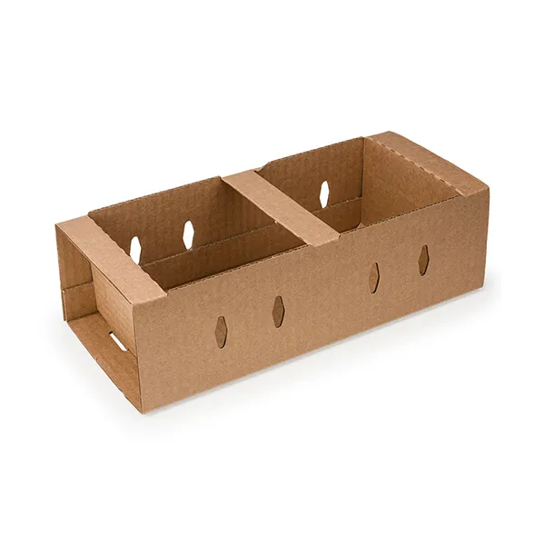 Hand-Erect Produce Tray, 1 Kg, Plain