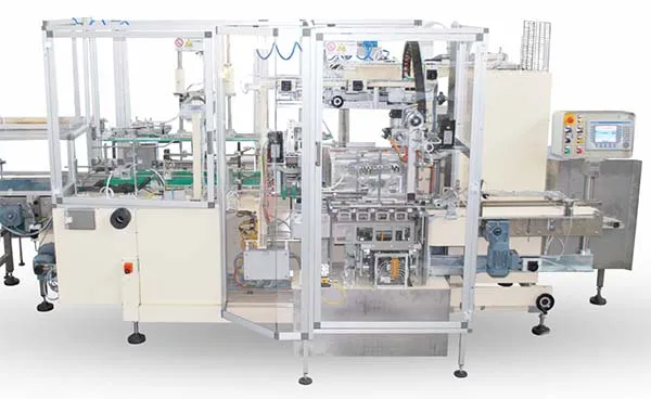 AP200 CASE PACKER