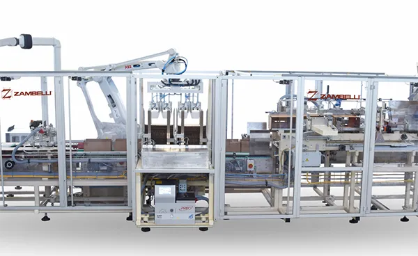 RCV CASE PACKER